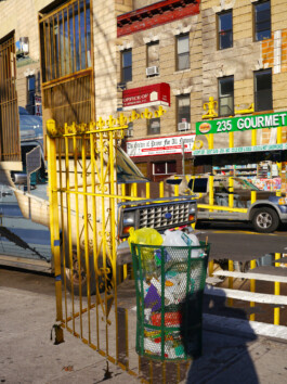 Visual Artist and Graphic Designer