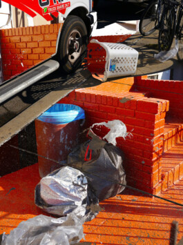 Visual Artist and Graphic Designer