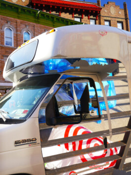 Visual Artist and Graphic Designer