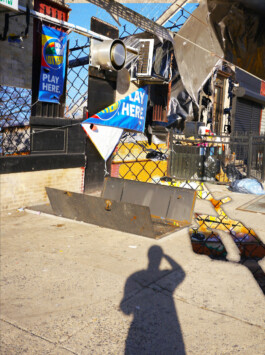 Visual Artist and Graphic Designer