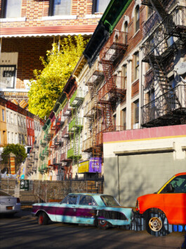 Visual Artist and Graphic Designer