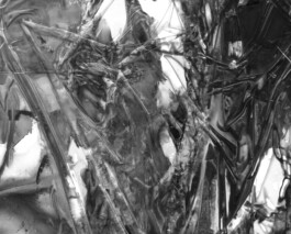 Visual Artist and Graphic Designer