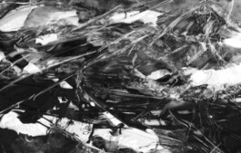 Visual Artist and Graphic Designer