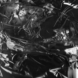 Visual Artist and Graphic Designer