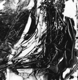 Visual Artist and Graphic Designer