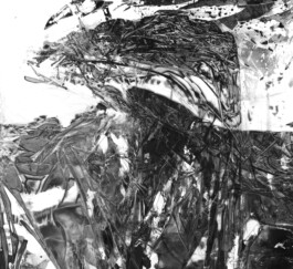 Visual Artist and Graphic Designer