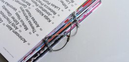 Visual Artist and Graphic Designer