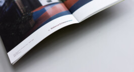 Visual Artist and Graphic Designer