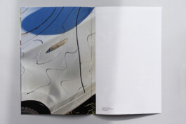 Visual Artist and Graphic Designer