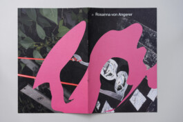 Visual Artist and Graphic Designer