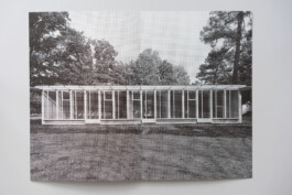 Visual Artist and Graphic Designer