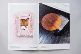 Visual Artist and Graphic Designer