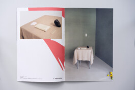 Visual Artist and Graphic Designer