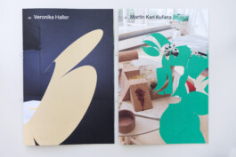 Visual Artist and Graphic Designer