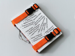 Visual Artist and Graphic Designer