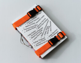 Visual Artist and Graphic Designer