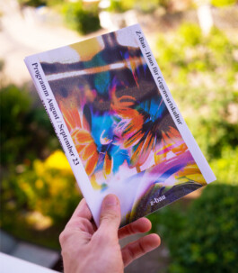 Visual Artist and Graphic Designer