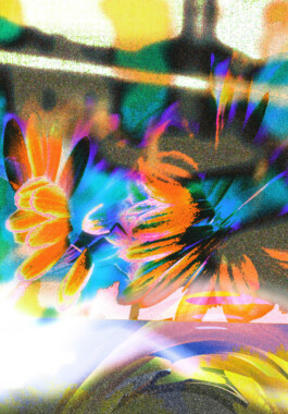 Visual Artist and Graphic Designer