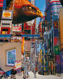 Visual Artist and Graphic Designer